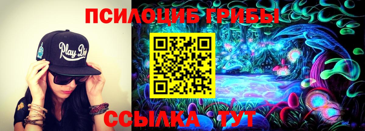 Галлюциногенные грибы Psilocybine cubensis Ханты-Мансийск